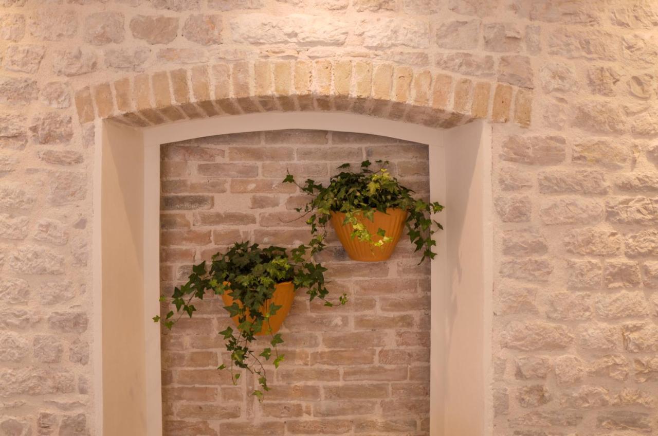 Olive Grove Of Sibenik - Apartment With Gallery Esterno foto